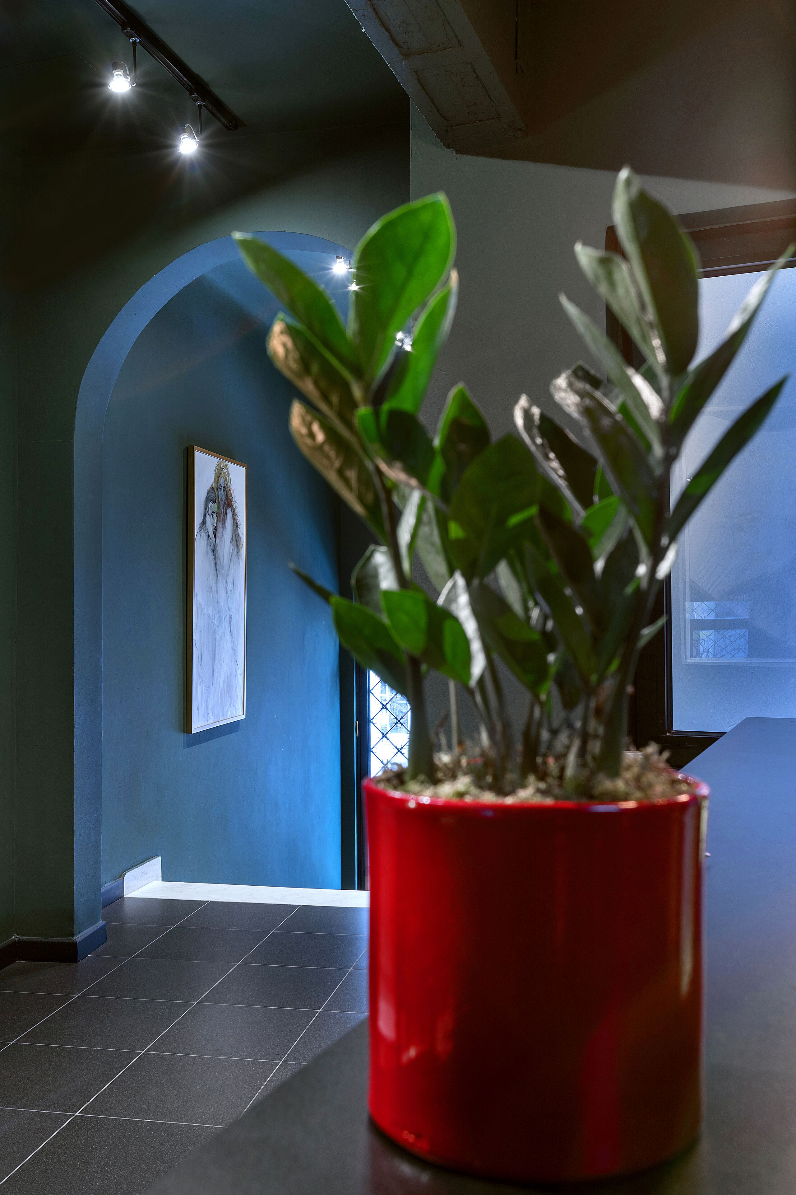 Foto - Nin&Bau Sarri 2