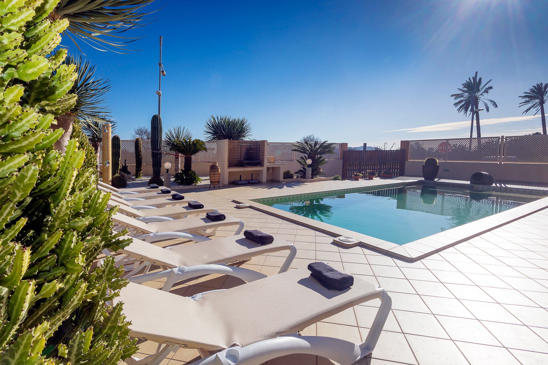 A poolside area with lounge chairs, a pool, and desert plants.