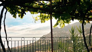 Viñedo con cerca de metal y vistas del paisaje.