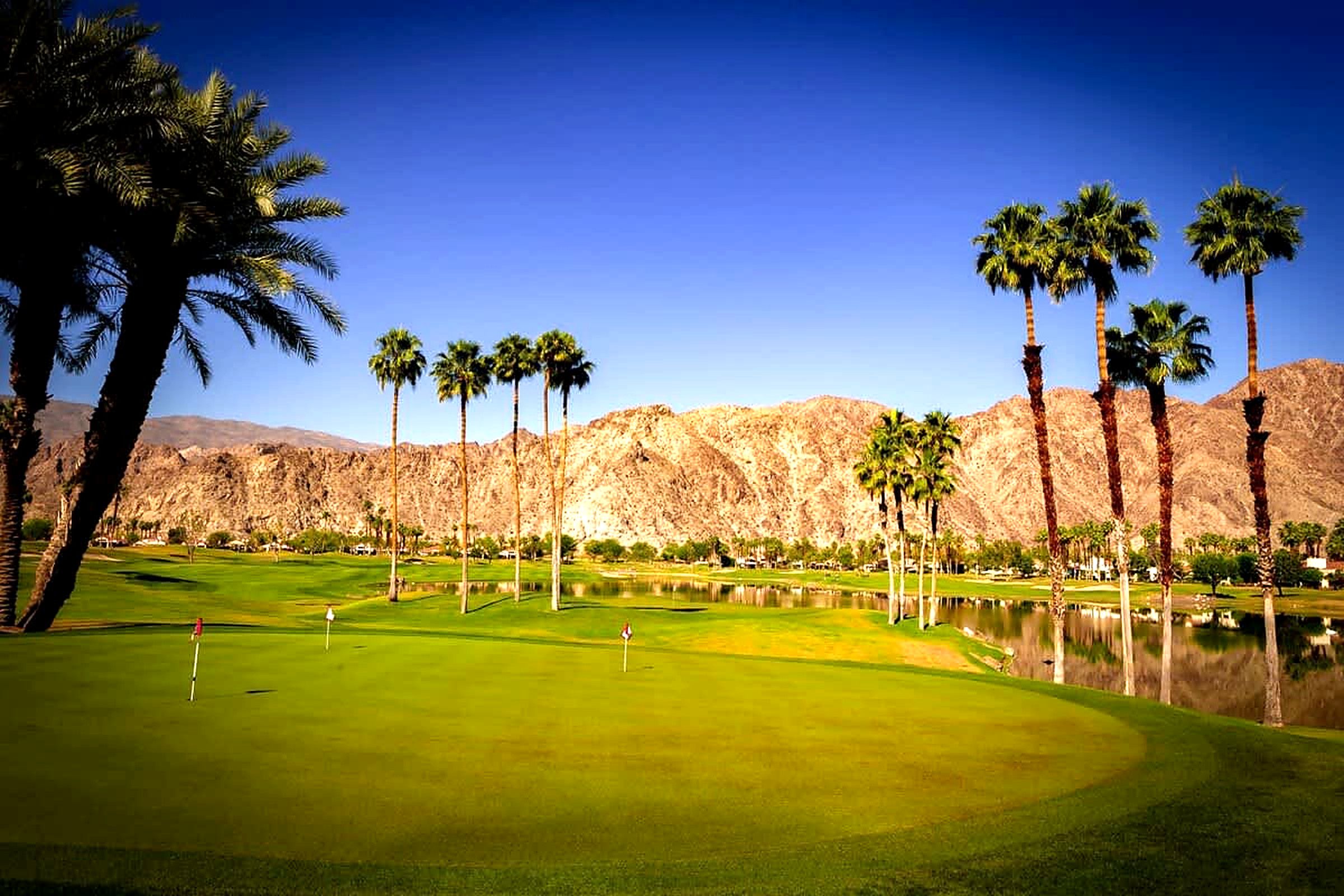 A golf course with a clear sky, palm trees, and mountains in the background.
