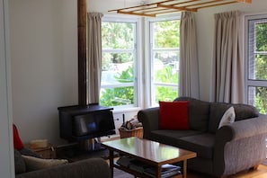 TV, fireplace, books