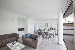 Smart TV, fireplace, music library, video library