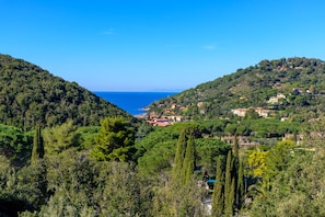 A coastal landscape with dense greenery, a clear blue sky, and a view of the sea. - Appartamento Il Mare in Cartolina (Portoferraio)