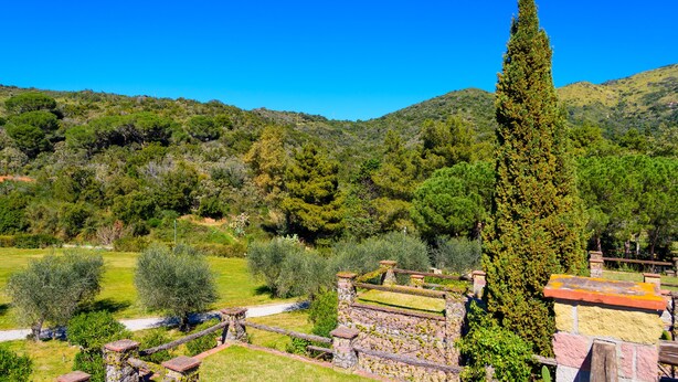 A hillside garden with a stone wall, a tall cypress tree, and a clear blue sky. - Appartamento Via dei Lecci (Rio)