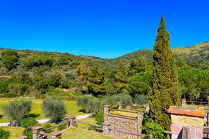 A hillside garden with a stone wall, a tall cypress tree, and a clear blue sky.