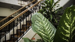 Interior - Mariscal Inn & Suites (Cuenca)