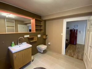 Combined shower/bathtub, hair dryer, soap, toilet paper