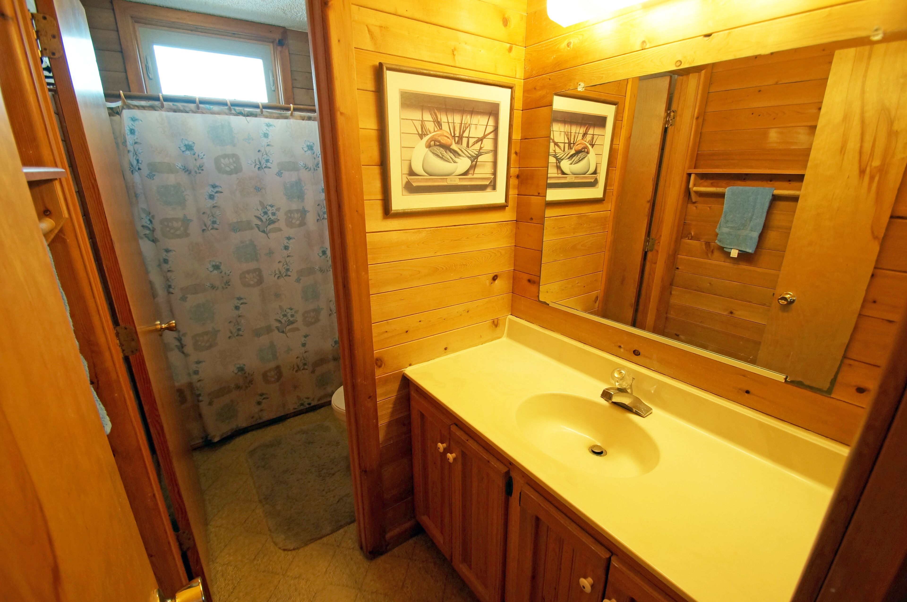 A wooden bathroom with a sink, mirror, and framed artwork on the wall.