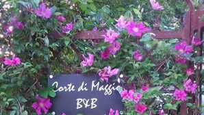 Unclassified image, 4 of 32, button - Corte di Maggio B&B (Imola)