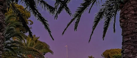 Alberca