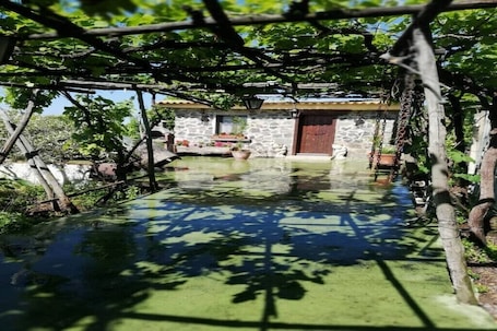 Property grounds. And a small house placed in the green of Vesuvius with a breathtaking view
