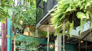 Pátio com caminho de tijolos, plantas verdes e um balanço de madeira.