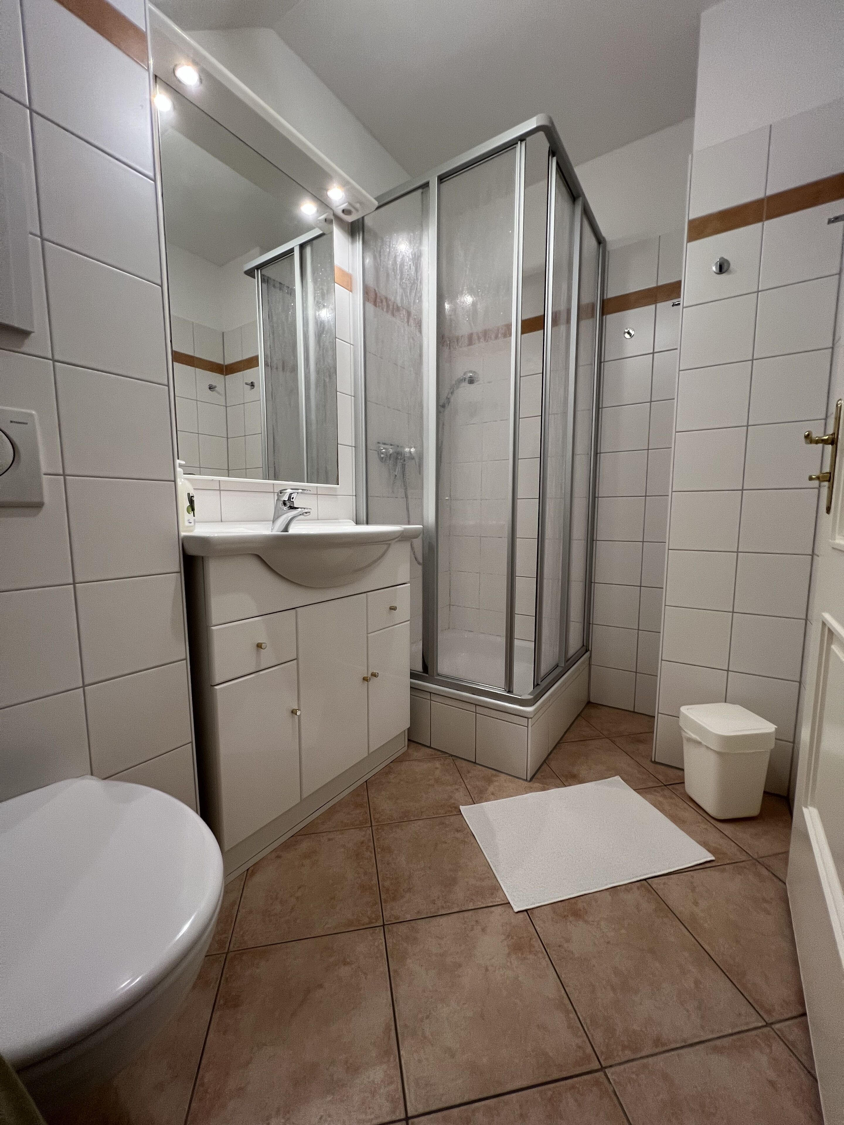 Dusche, Haartrockner, Handtücher