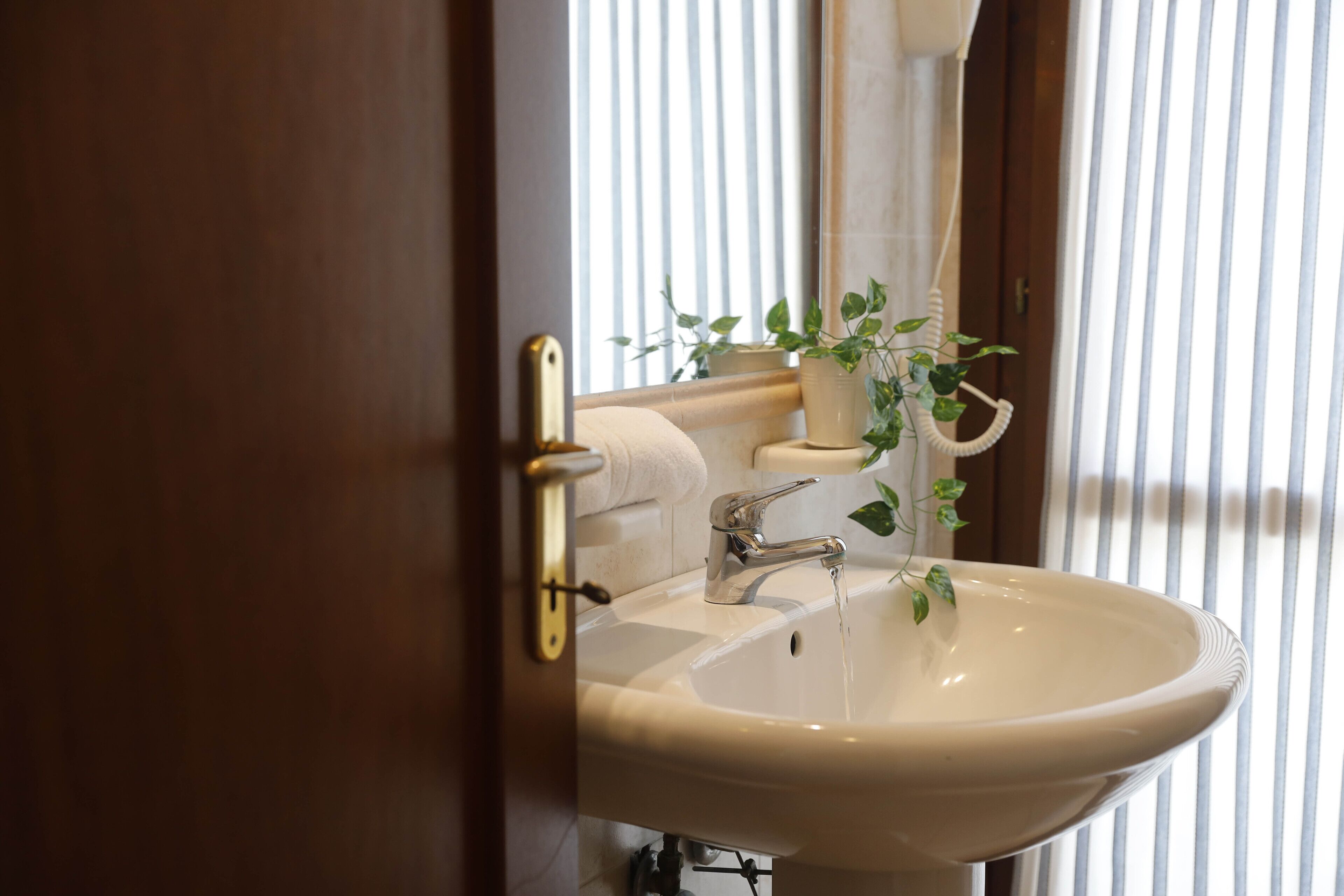 A bathroom with a sink, a towel rack, and a potted plant.