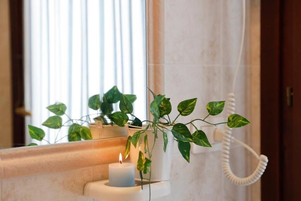 A bathroom with a white bathtub, a lit candle, and green plants in clear containers.