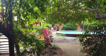 House located 200 m from the beach, leisure area, restaurants, bars and shops