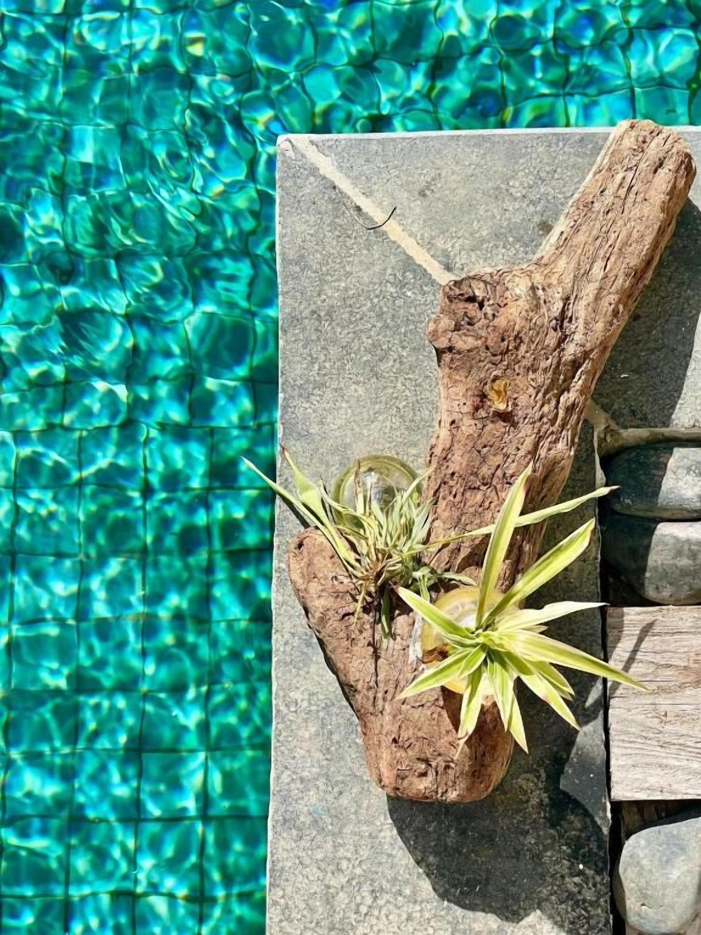 Una jardinera de piedra con plantas junto a una piscina.