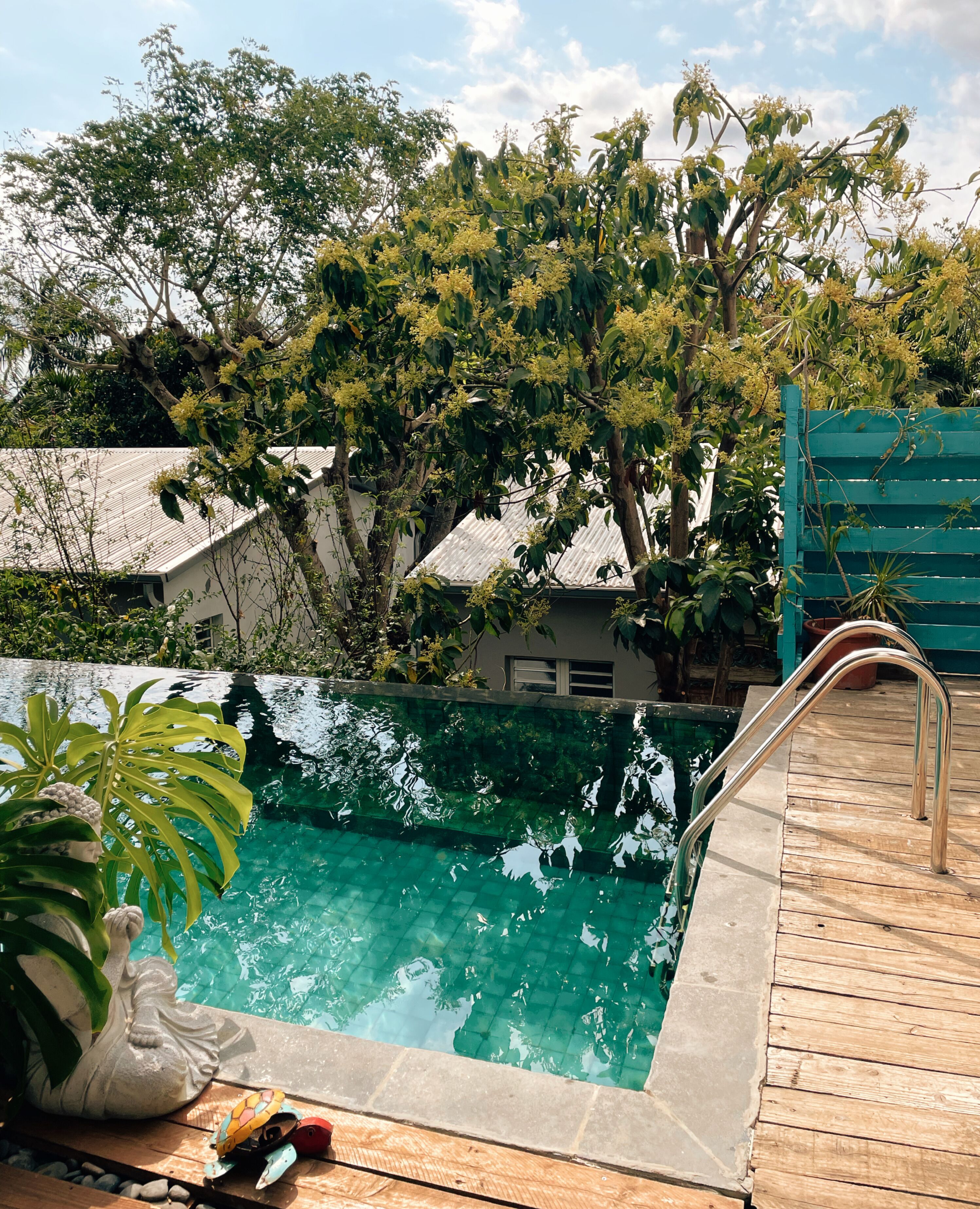A swimming pool with a wooden deck, surrounded by lush greenery and trees.