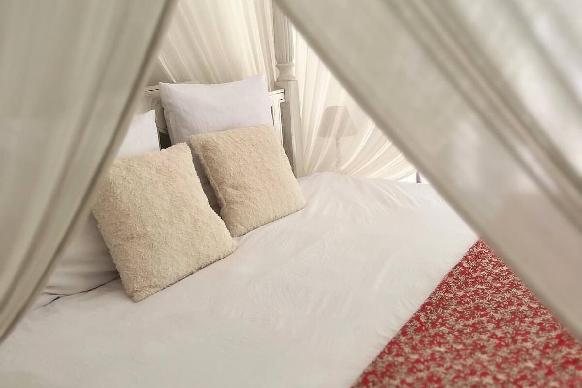 A bed with white linens and two pillows, a red patterned area rug, and sheer white curtains.