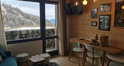 APARTMENT 4/6 people AT THE FOOT OF THE SLOPES