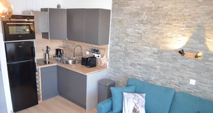 APPARTEMENT 4/6 personnes AU PIED DES PISTES