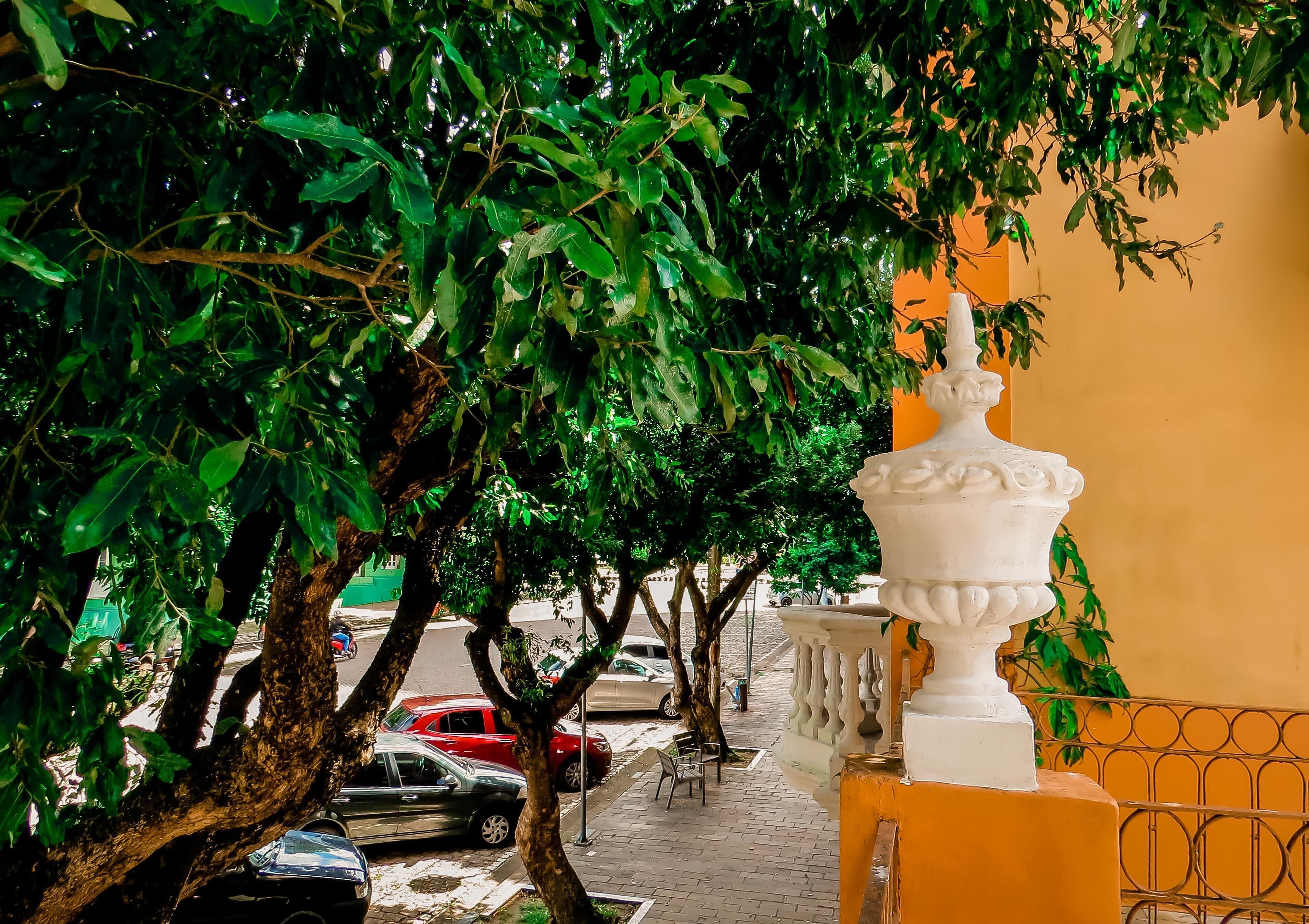 Un balcón con una urna decorativa blanca, una calle arbolada y coches estacionados.