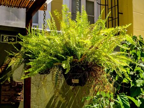 Télévision, imprimantes