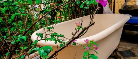 Una bañera parcialmente cubierta por plantas exuberantes.