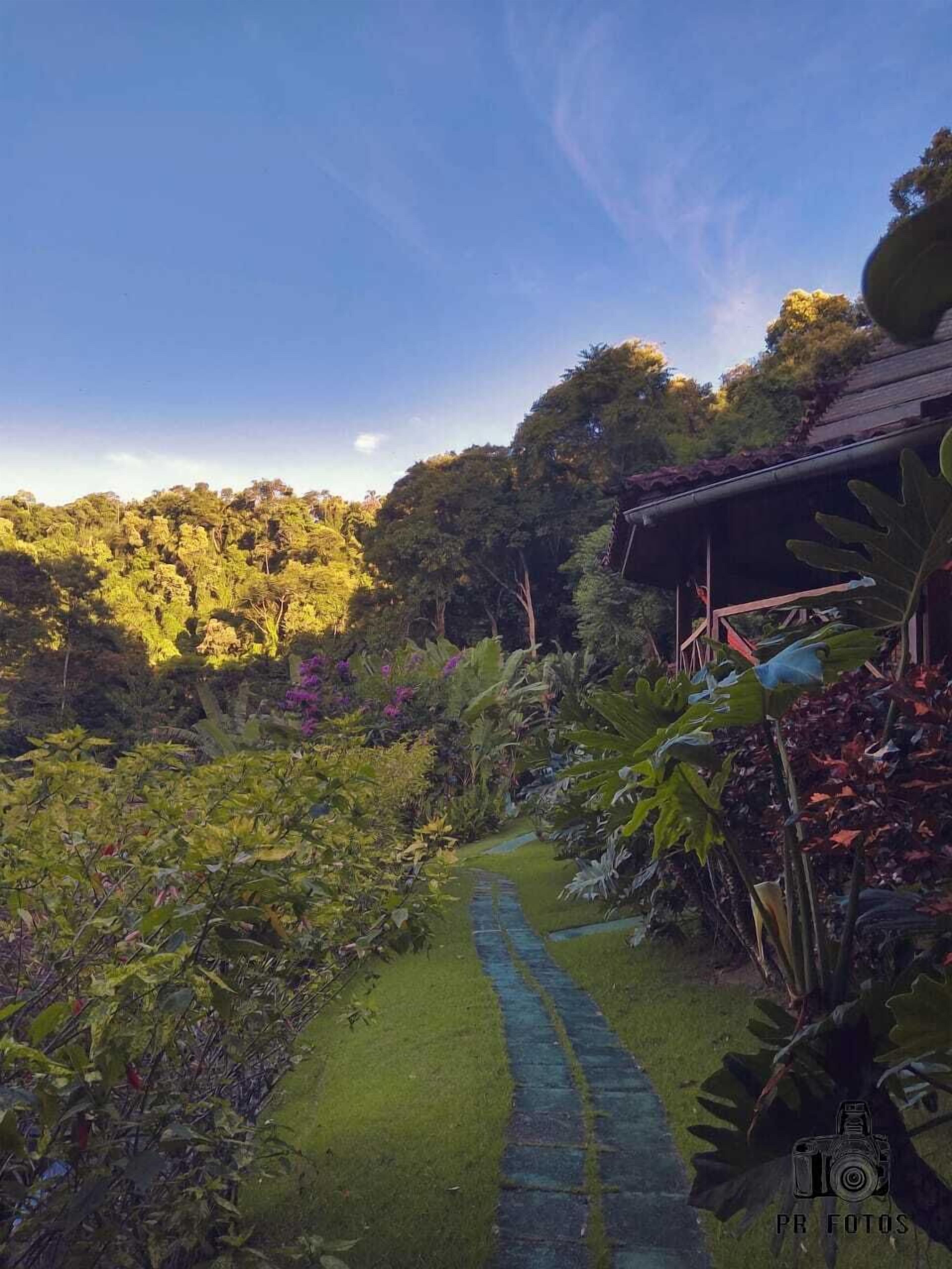 Un sentier de jardin mène à une structure en bois, entourée d’une végétation luxuriante et d’arbres.