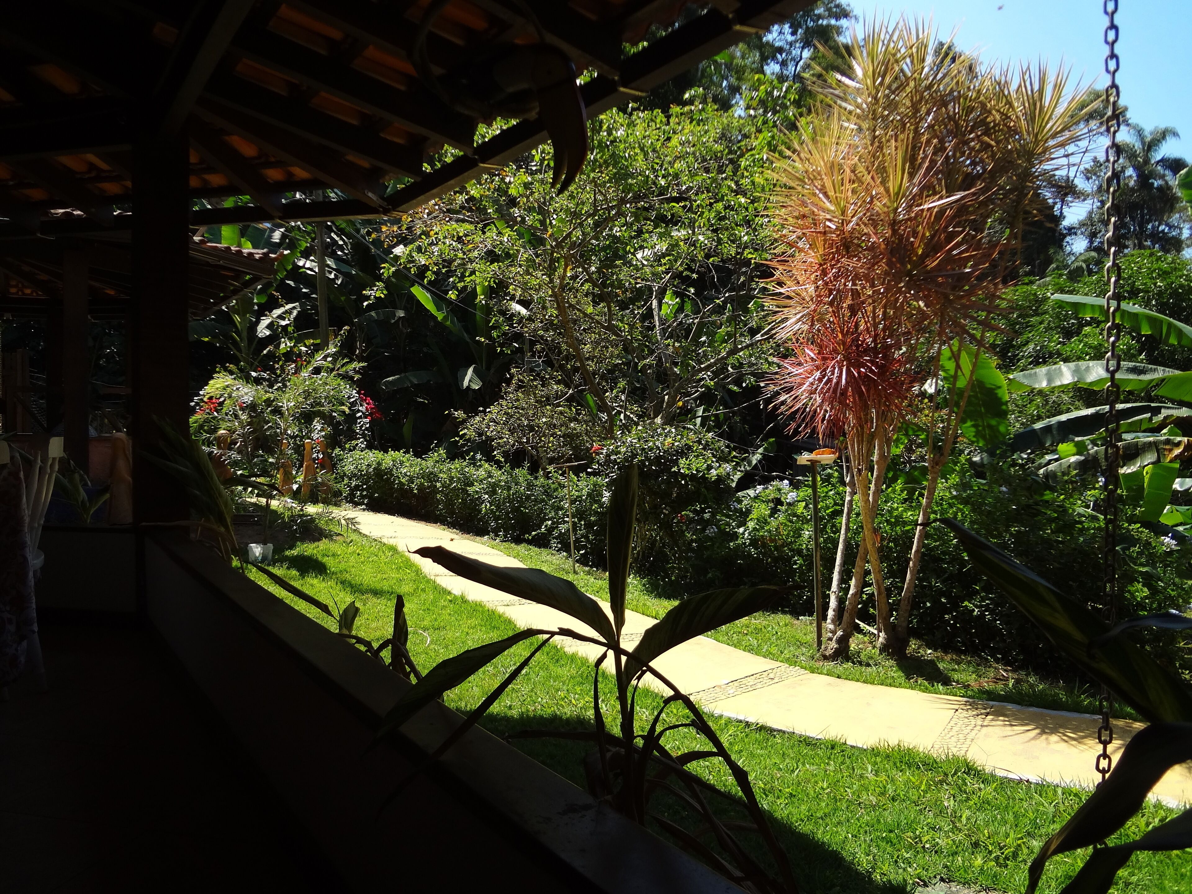 A garden pathway with lush greenery and a variety of plants.