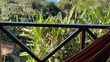 Vue depuis le balcon