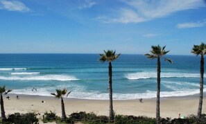 Une plage bordée de palmiers, avec l’océan en toile de fond.