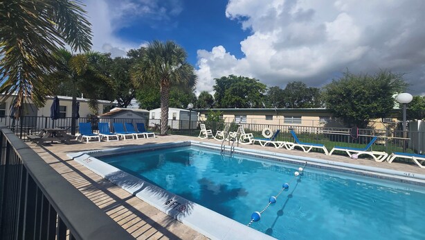 Una piscina con sillas de descanso y una palmera.
