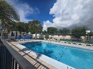 En swimmingpool med solstolar och ett palmträd.
