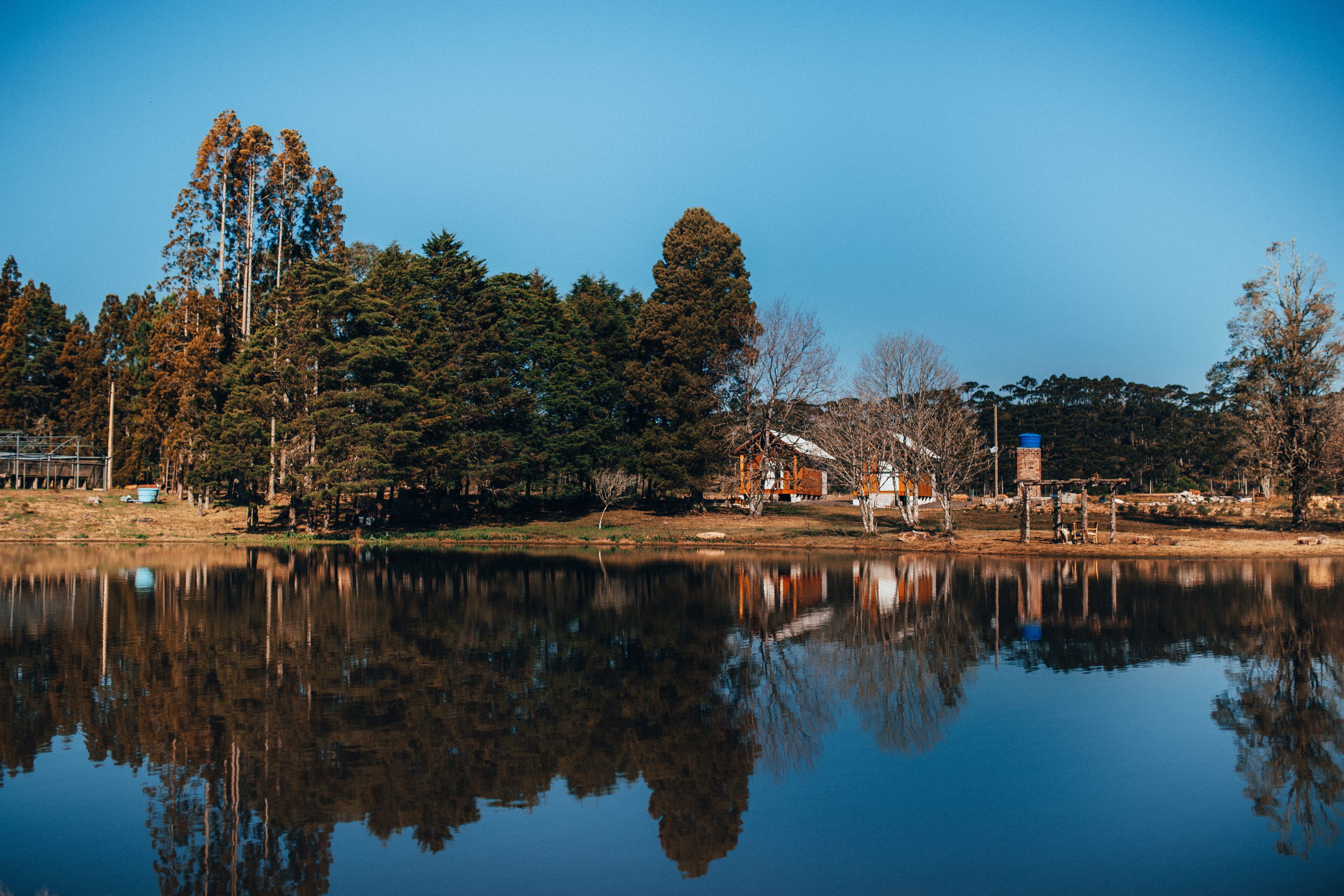 A calm lake with reflections of trees and buildings, surrounded by a forested area.