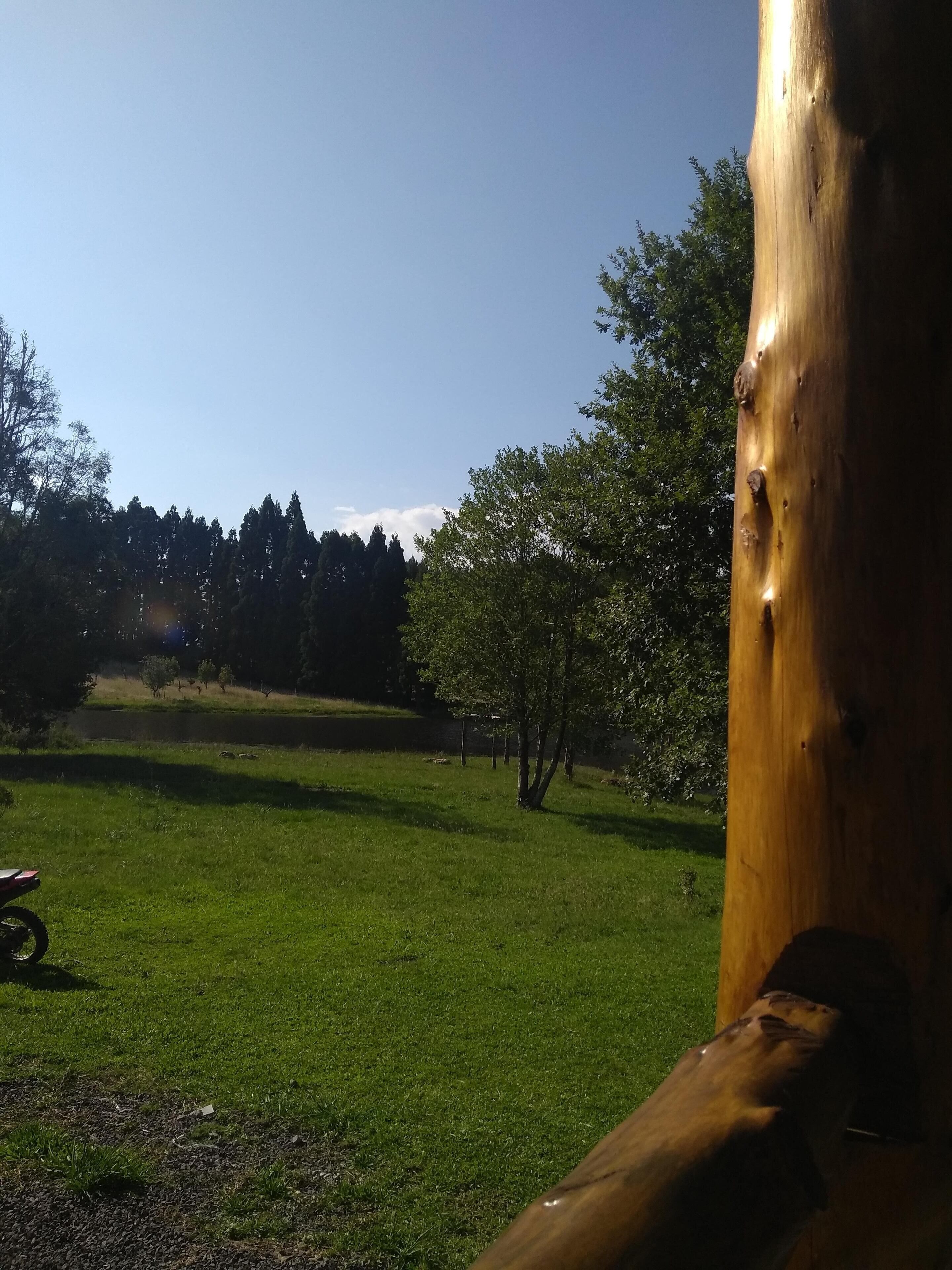 Un champ herbeux avec un poteau en bois et une moto au premier plan.
