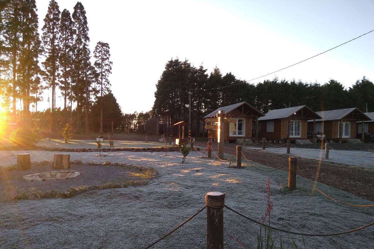 A rustic lodge with wooden cabins, a reception area, and a gravel path.