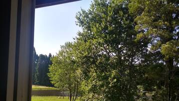 Cabane Supérieure | Vue de la chambre