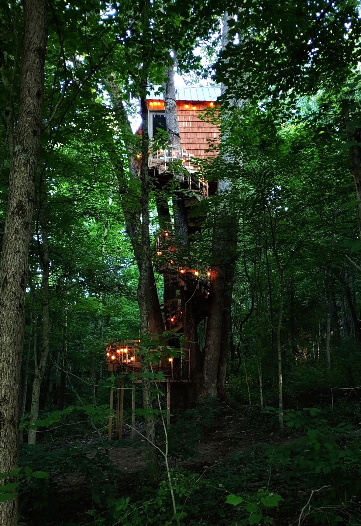 A treehouse structure in a forest with a wooden platform and a metal staircase.