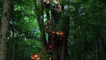 Una construcció d'arbre en un bosc, amb una plataforma de fusta i una escala metàl·lica.