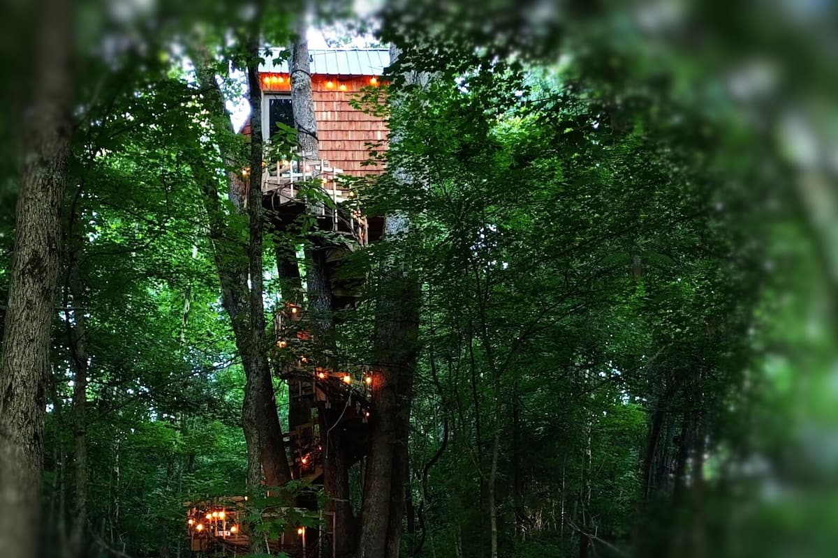 A treehouse with a wooden platform and a brick building in the background.