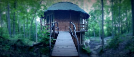 Una cabaña de madera con techo de paja, accesible mediante un sendero de madera, rodeada de un bosque denso.
