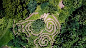 An aerial view of a forest with a spiral-shaped clearing.