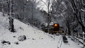 Un sendero cubierto de nieve que lleva a una cabaña con un porche y una luz encendida.
