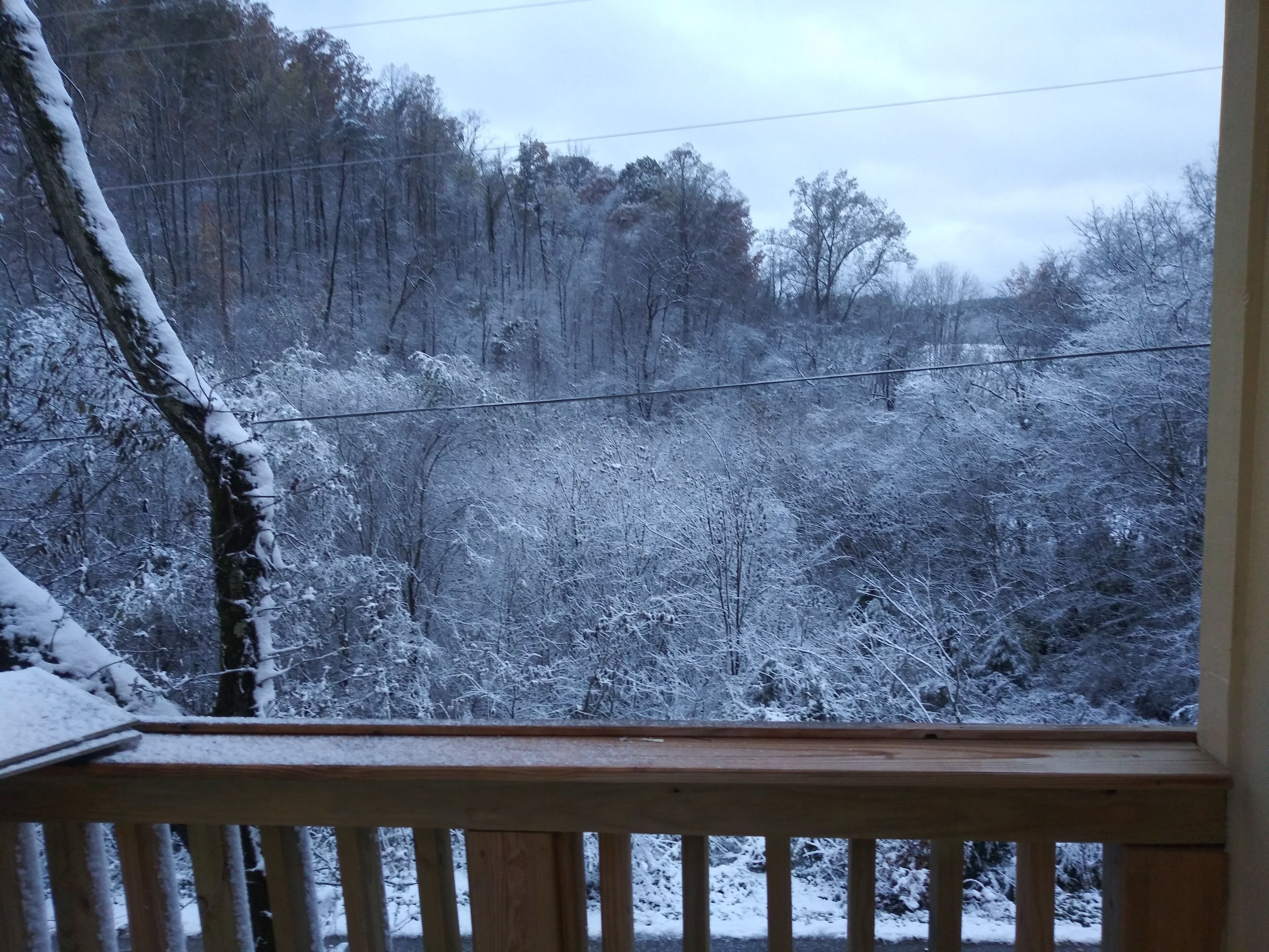 Vista desde un balcón de madera con barandilla, sobre un área boscosa cubierta de nieve.