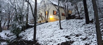 Perfect Family Reunion Vacation Rental - 3 Remodeled Houses near Dollywood