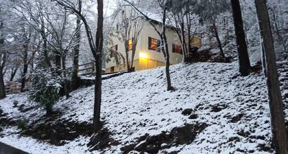 Perfect Family Reunion Vacation Rental - 3 Remodeled Houses near Dollywood