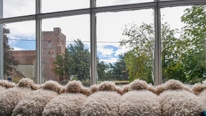 A window with a view of a brick building and trees. - The Woolpack Inn Warehorne (Ashford)