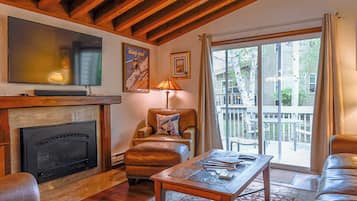 Télévision, cheminée, lecteur de DVD