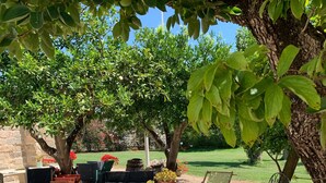 Eksteriør
